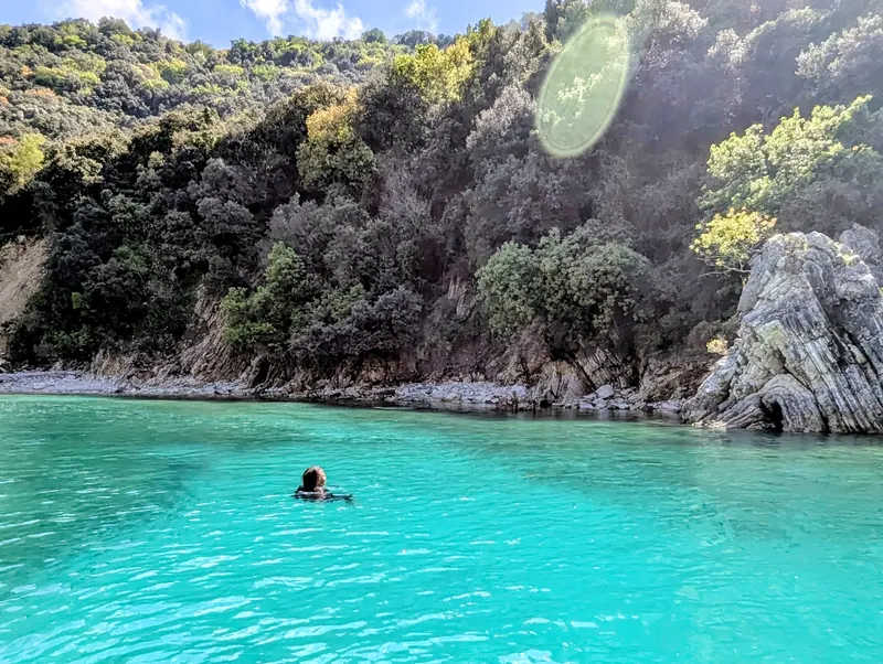 A swimmer in a turquoise cove below wooded cliffs